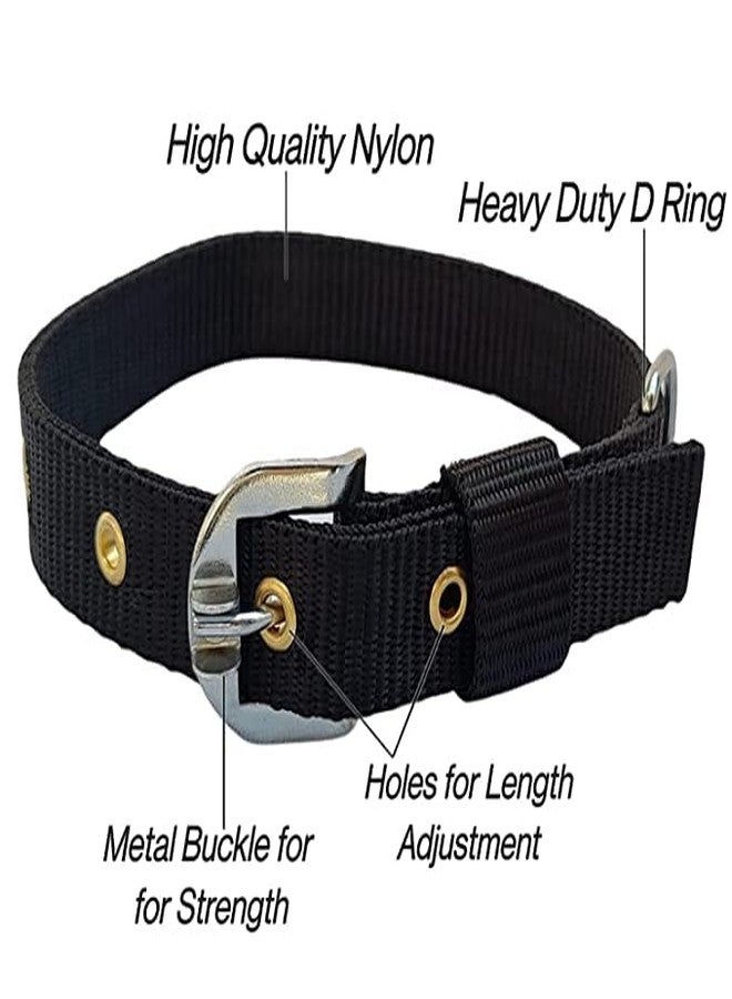 KsPups Dog Belt Combo I of 1 inch Nylon Collar I with Heavy Dog Chain No-8/63 Inch Lengthy I Dog Collar Chain I (Black) Pack of-1 - Image 2